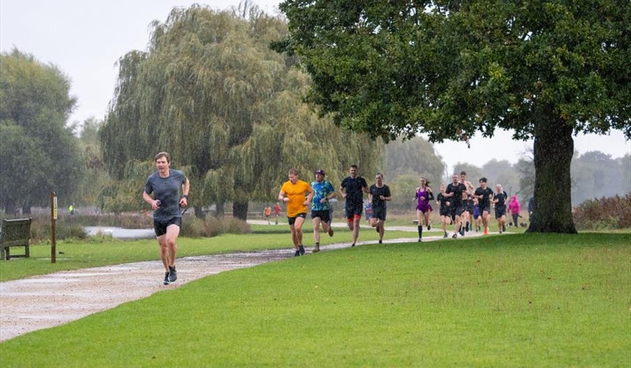 Runners on the path through Bushy Park on a misty morning